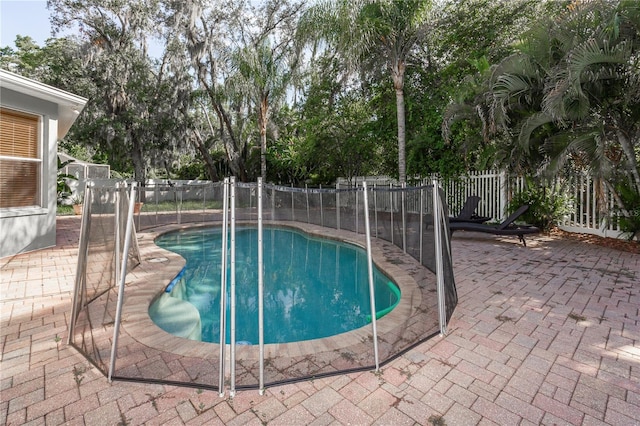 11102 Avery Oaks Dr, Tampa, FL 33625 - view of pool featuring a fenced backyard, a fenced in pool, and a patio