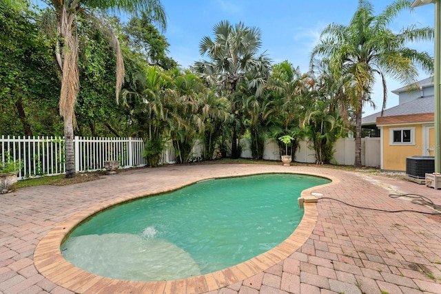 11102 Avery Oaks Dr, Tampa, FL 33625 - photo 4