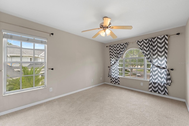 11102 Avery Oaks Dr, Tampa, FL 33625 - photo 23