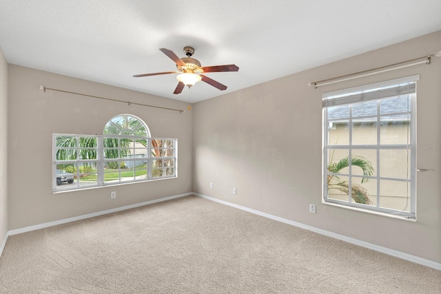 11102 Avery Oaks Dr, Tampa, FL 33625 - photo 25