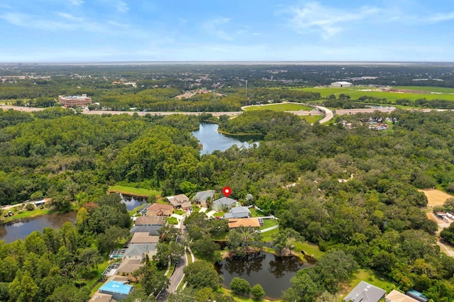 11102 Avery Oaks Dr, Tampa, FL 33625 - photo 31