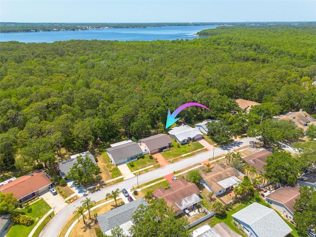 1144 Lanyard St, Palm Harbor, FL 34685 - aerial view featuring a water view, a residential view, and a wooded view