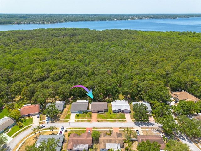 1144 Lanyard St, Palm Harbor, FL 34685 - drone / aerial view featuring a water view, a view of trees, and a residential view