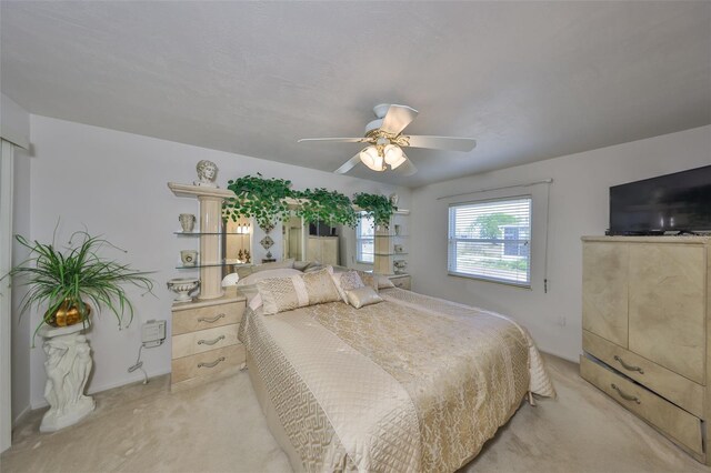1809 Haverford Ave, Sun City Center, FL 33573 - photo 29