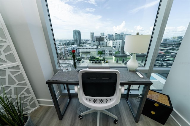 interior space featuring a view of city, wood finished floors, baseboards, and a healthy amount of sunlight