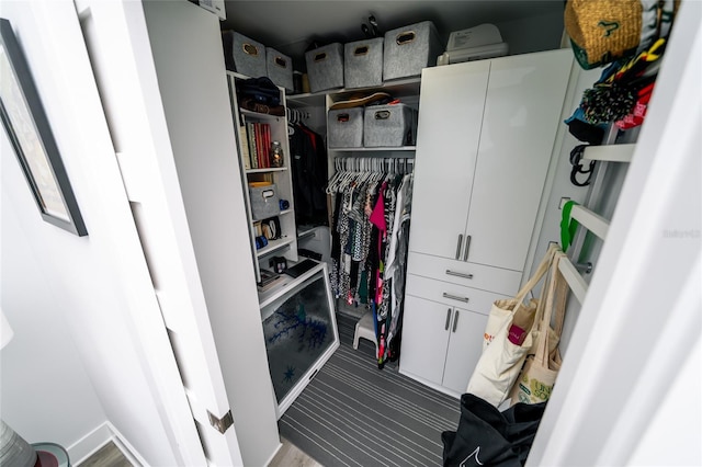 1120 E Kennedy Blvd Unit 1208, Tampa, FL 33602 - view of walk in closet