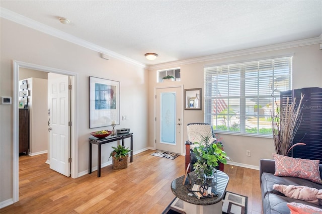 708 Sandy Hills Ave, Tarpon Springs, FL 34689 - living room featuring ornamental molding and light wood finished floors