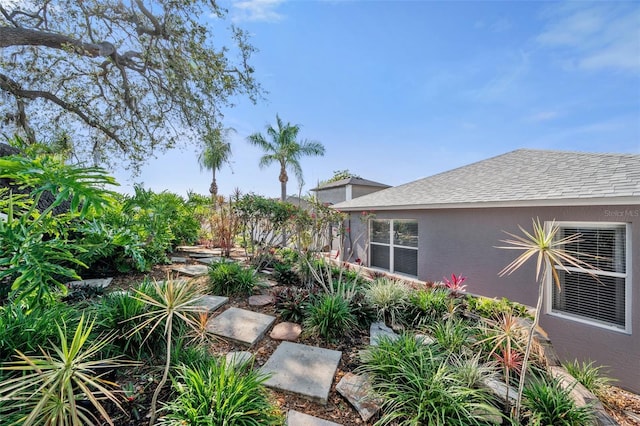 708 Sandy Hills Ave, Tarpon Springs, FL 34689 - view of yard