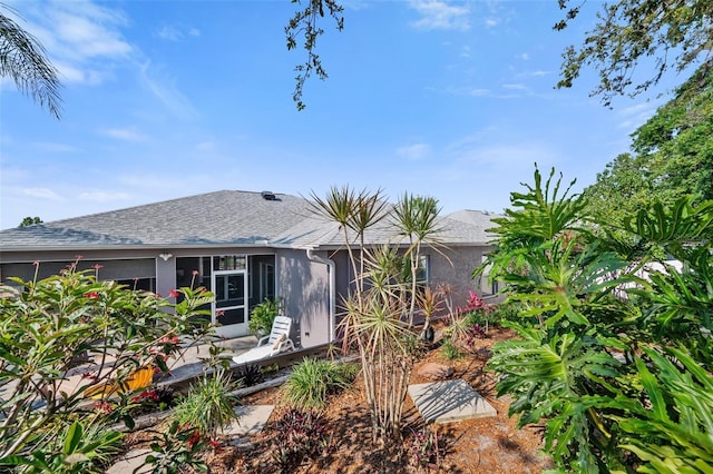 708 Sandy Hills Ave, Tarpon Springs, FL 34689 - back of house with roof with shingles, a sunroom, and stucco siding