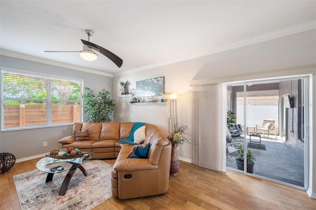 708 Sandy Hills Ave, Tarpon Springs, FL 34689 - living room featuring healthy amount of natural light, light wood-type flooring, ceiling fan, and ornamental molding