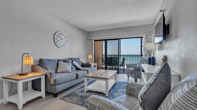 13720 Gulf Blvd Unit 305, Madeira Beach, FL 33708 - living room with a textured ceiling and wood finished floors