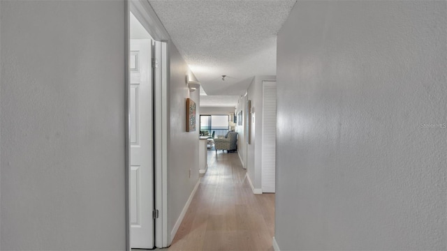 13720 Gulf Blvd Unit 305, Madeira Beach, FL 33708 - hall with a textured ceiling, a textured wall, light wood finished floors, and baseboards