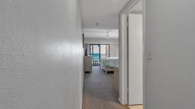 13720 Gulf Blvd Unit 305, Madeira Beach, FL 33708 - corridor featuring light colored carpet