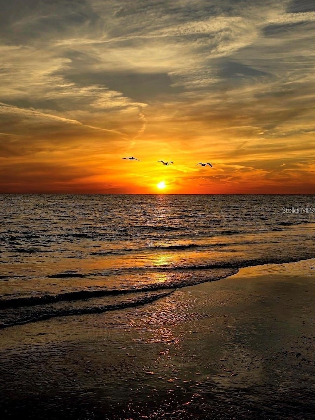 13720 Gulf Blvd Unit 305, Madeira Beach, FL 33708 - property view of water featuring a beach view