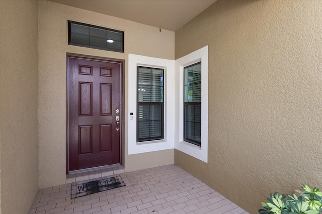 11442 Crowned Sparrow Ln, Tampa, FL 33626 - doorway to property with stucco siding