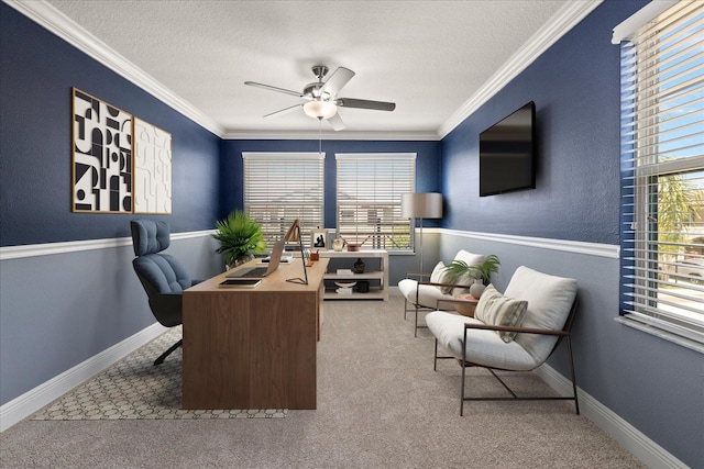 11442 Crowned Sparrow Ln, Tampa, FL 33626 - carpeted office space with ornamental molding, a ceiling fan, a textured ceiling, and baseboards