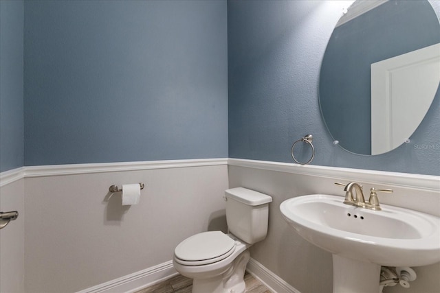 11442 Crowned Sparrow Ln, Tampa, FL 33626 - bathroom with wood finished floors, toilet, baseboards, and a sink