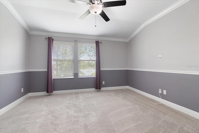 11442 Crowned Sparrow Ln, Tampa, FL 33626 - carpeted spare room featuring ornamental molding, ceiling fan, and baseboards