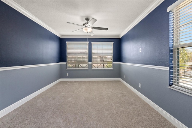 11442 Crowned Sparrow Ln, Tampa, FL 33626 - carpeted spare room with baseboards, ceiling fan, a textured ceiling, and crown molding