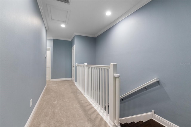 11442 Crowned Sparrow Ln, Tampa, FL 33626 - corridor with attic access, an upstairs landing, baseboards, ornamental molding, and carpet floors