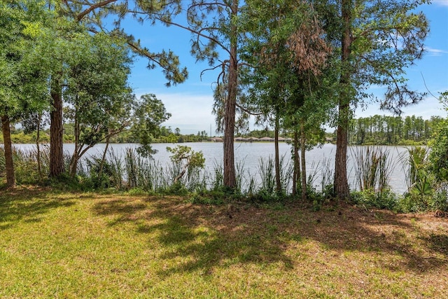 11442 Crowned Sparrow Ln, Tampa, FL 33626 - water view