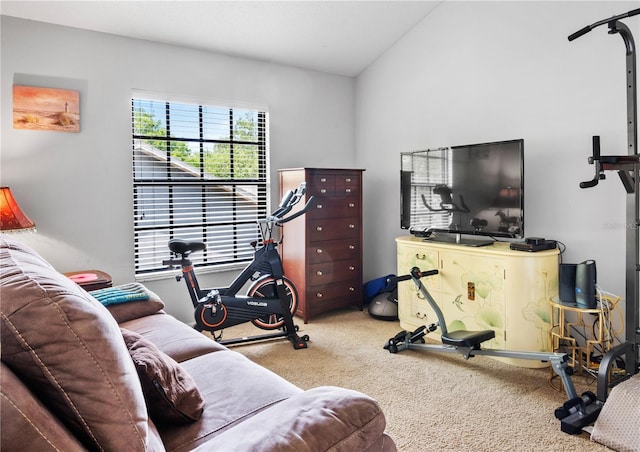 view of carpeted living area