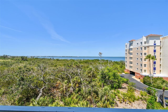 2625 Terra Ceia Bay Blvd Unit 406, Palmetto, FL 34221 - photo 43