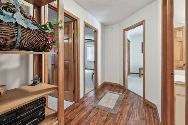 2914 Timber Knoll Dr, Valrico, FL 33596 - hall featuring dark wood-style floors and baseboards