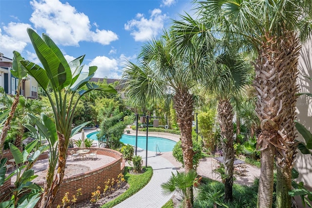 504 S Armenia Ave Unit 1338, Tampa, FL 33609 - view of pool