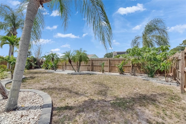 view of yard
