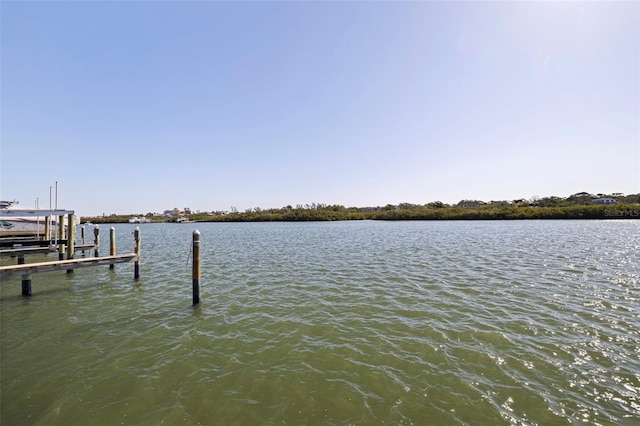 19417 Gulf Blvd Unit E217, Indian Rocks Beach, FL 33785 - view of dock with boat lift and a water view