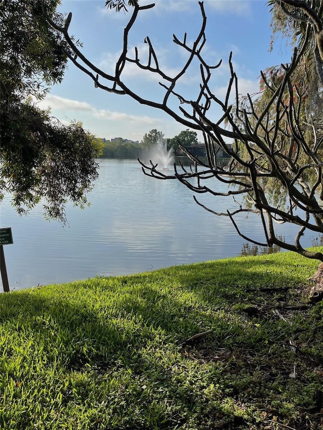 782 Village Lake Ter N Unit 102, Saint Petersburg, FL 33716 - water view