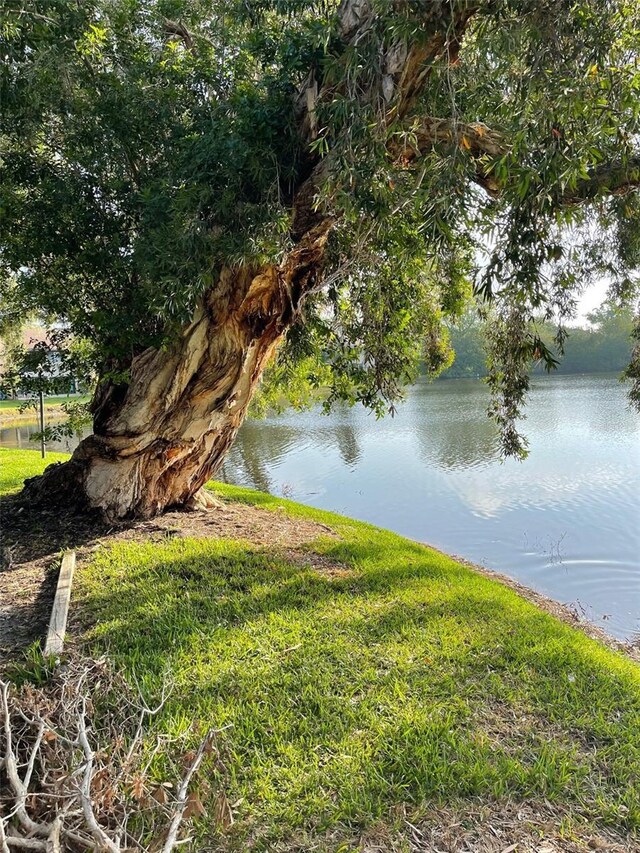 782 Village Lake Ter N Unit 102, Saint Petersburg, FL 33716 - water view