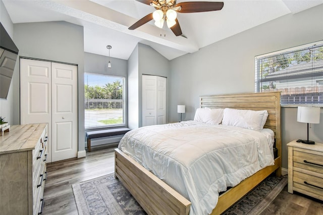 6207 Gulfport Blvd S, Gulfport, FL 33707 - bedroom featuring vaulted ceiling, dark wood-style flooring, two closets, and multiple windows