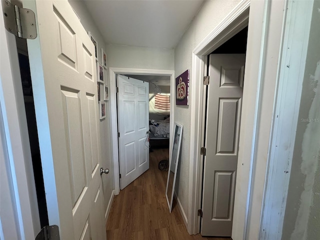 6047 67th Ave N, Pinellas Park, FL 33781 - hallway with dark wood-style floors
