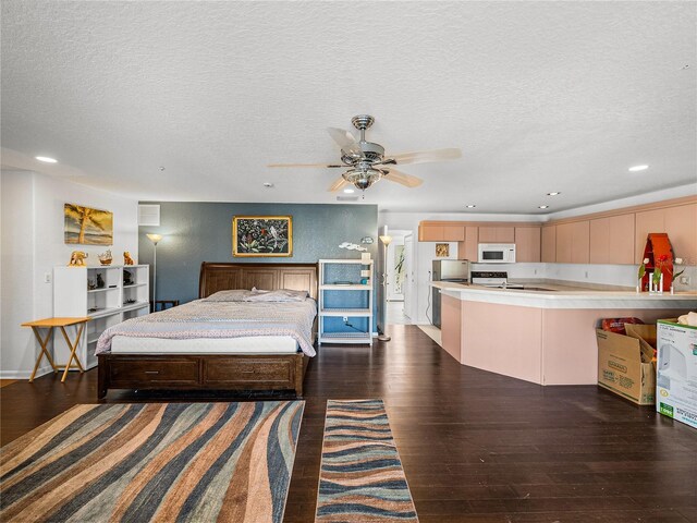 3484 Shore Dr, Safety Harbor, FL 34695 - photo 55