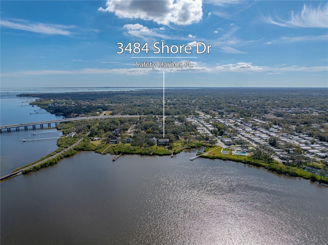 3484 Shore Dr, Safety Harbor, FL 34695 - photo 83