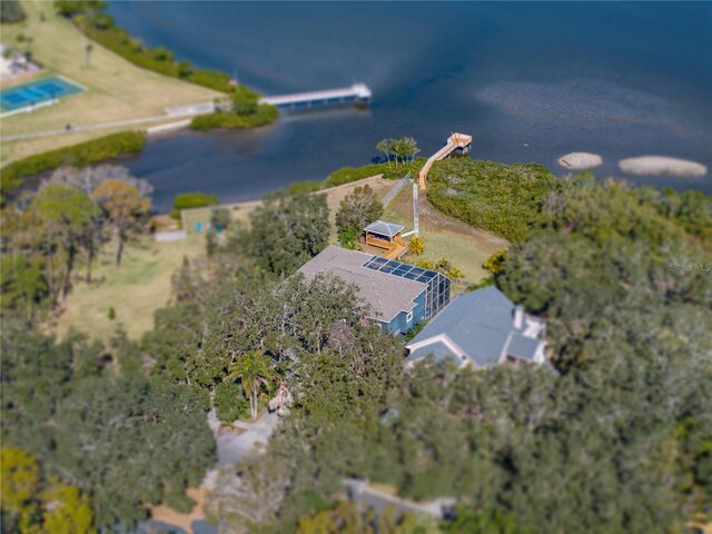 3484 Shore Dr, Safety Harbor, FL 34695 - photo 92