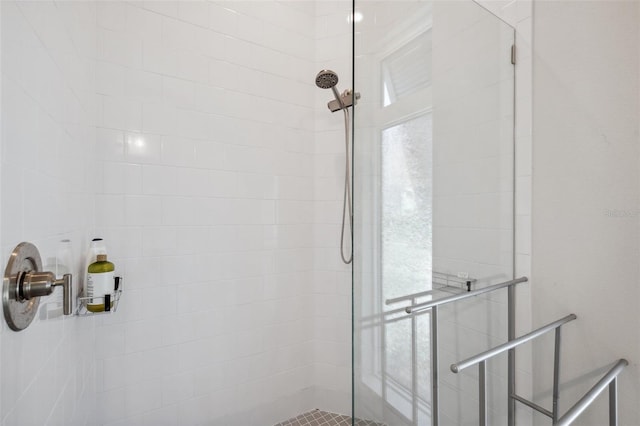 5917 Cat Claw Ln, Bradenton, FL 34210 - full bathroom with tiled shower