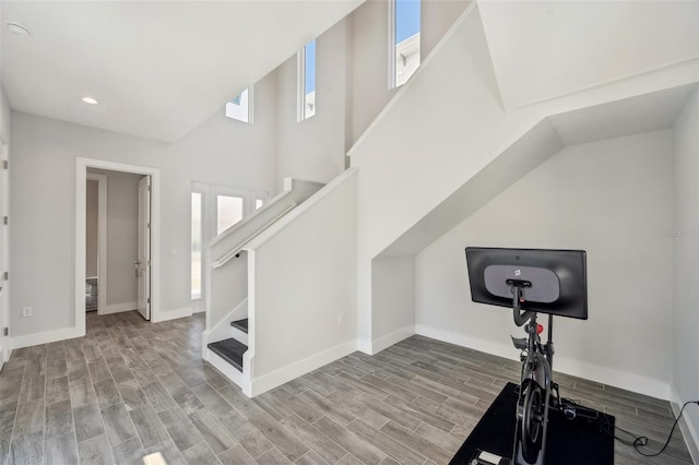 5917 Cat Claw Ln, Bradenton, FL 34210 - workout room featuring recessed lighting, wood finished floors, a towering ceiling, and baseboards
