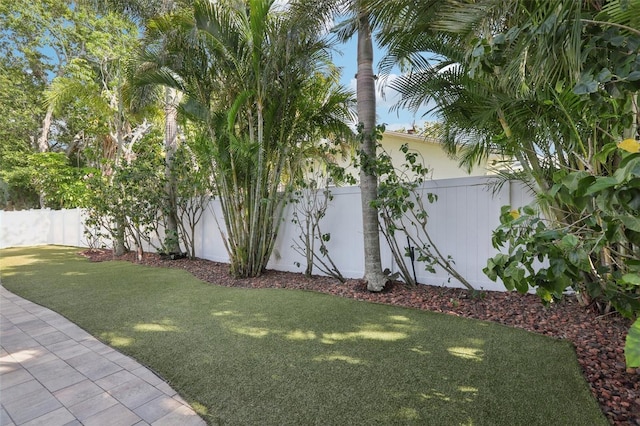 view of yard featuring a fenced backyard