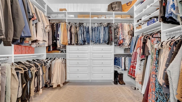 10101 Bryant Rd, Lithia, FL 33547 - view of spacious closet