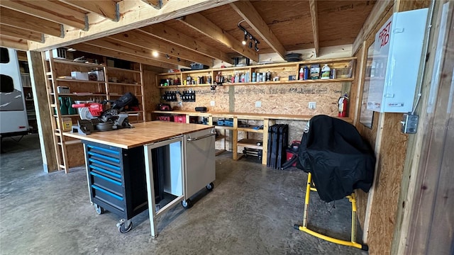 10101 Bryant Rd, Lithia, FL 33547 - basement featuring a workshop area