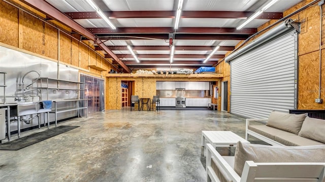 10101 Bryant Rd, Lithia, FL 33547 - basement with a garage and a sink