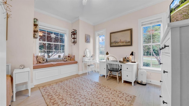 10101 Bryant Rd, Lithia, FL 33547 - bathroom with ornamental molding and wood finished floors