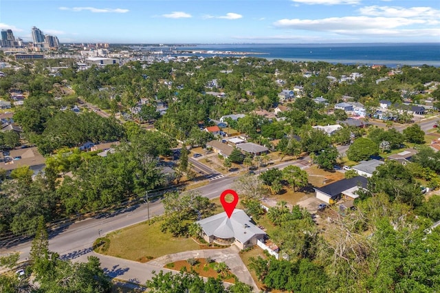 drone / aerial view