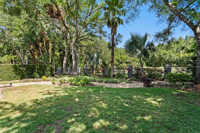 view of yard with a fenced backyard