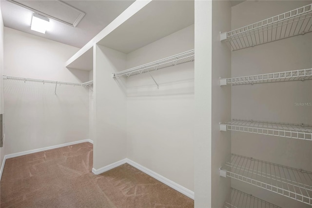 spacious closet with carpet