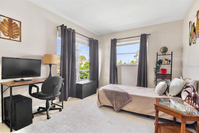 4340 50th Ter S, Saint Petersburg, FL 33711 - bedroom with carpet floors