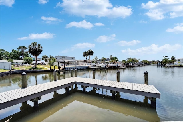 8702 Driftwood Dr, Tampa, FL 33615 - photo 33
